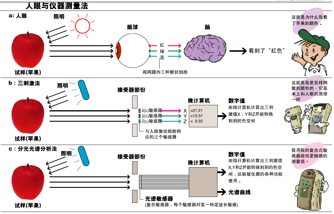 黄瓜视频污版的分光型與三刺激值型哪個更準確