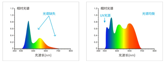 新品推薦KS-520分光黄瓜视频污版-3