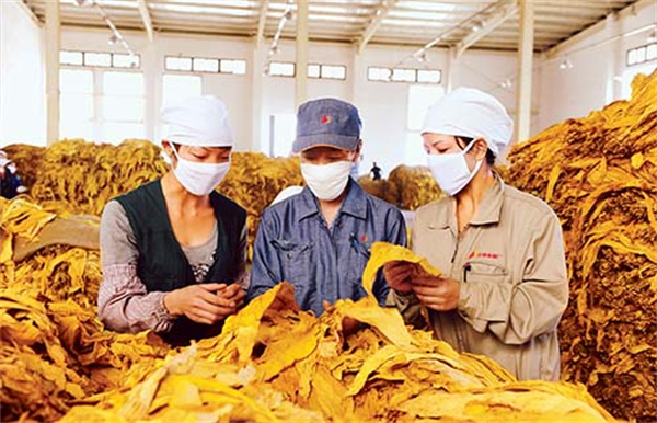 煙葉分級燈箱的色溫和顯色指數是多少？